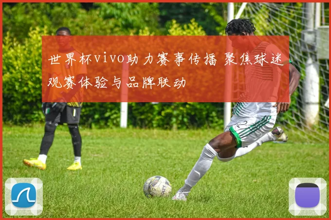 世界杯vivo助力赛事传播 聚焦球迷观赛体验与品牌联动