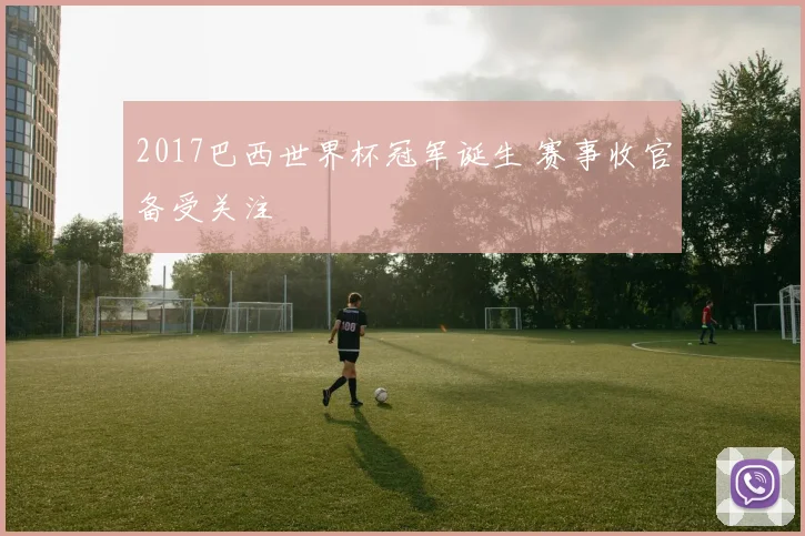 2017巴西世界杯冠军诞生 赛事收官备受关注
