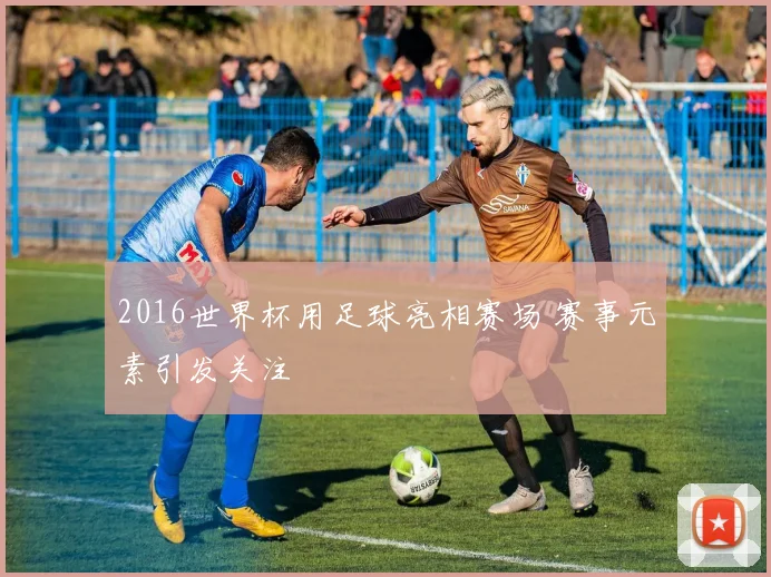 2016世界杯用足球亮相赛场 赛事元素引发关注